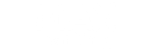logo MAX Renting transp