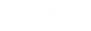 logo Leasecapital transp