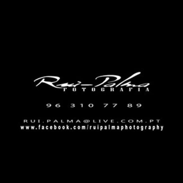 Logo Rui Palma